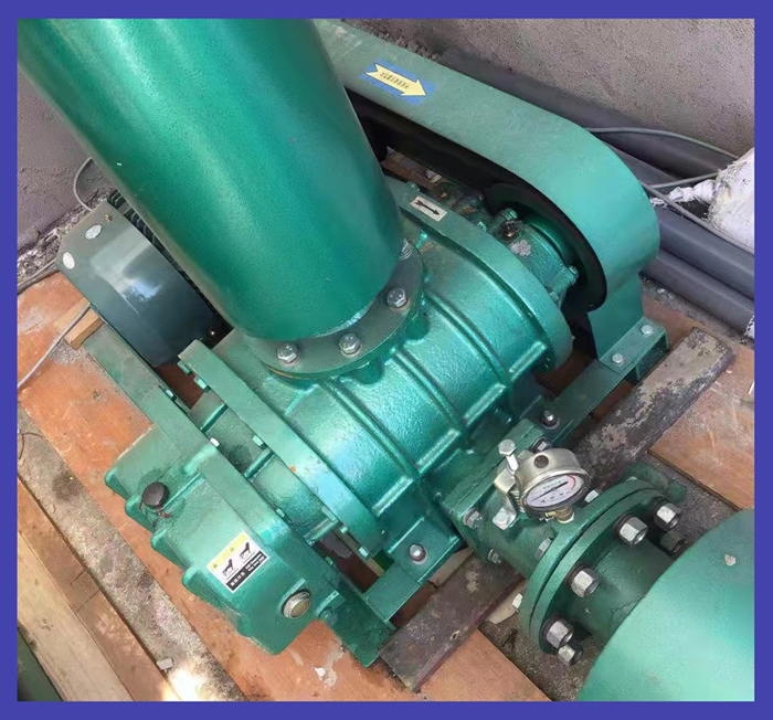 污水處理羅茨風(fēng)機(jī)使用現(xiàn)場(chǎng)案例